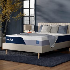 Image 1 of nectar classic 12 review